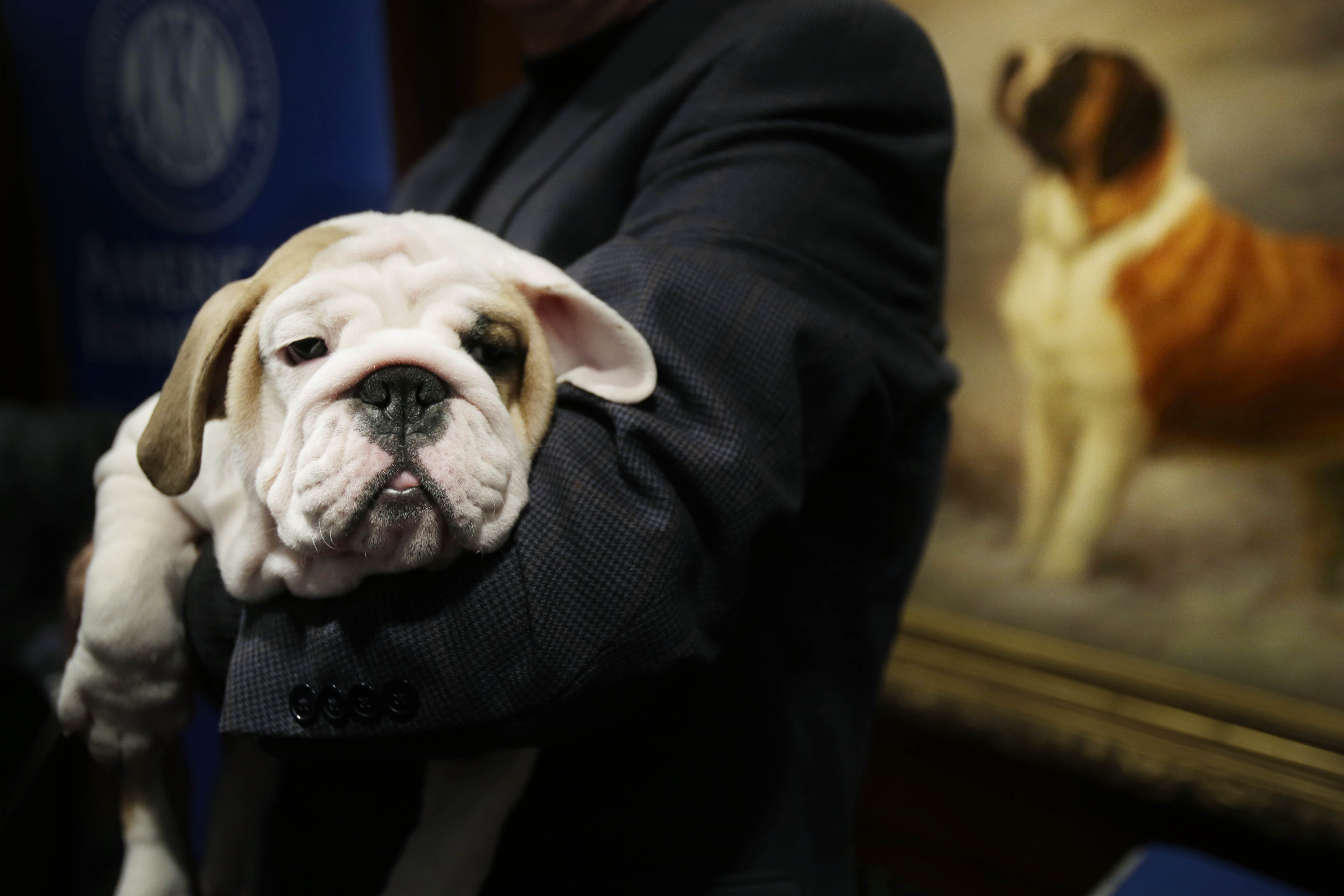 Οι φωτογραφίες της ημέρας (31 Ιανουαρίου 2013)